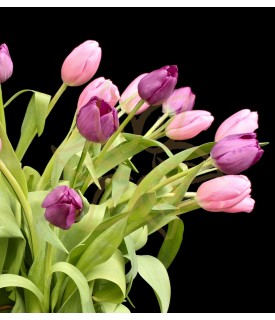 Deluxe Pastel Tulips