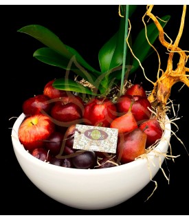 Orchid and Fruit