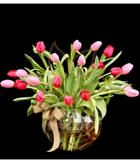Tulipanes Loving You!