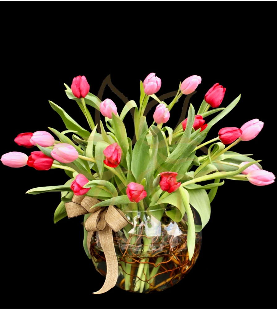 Tulips Loving You!