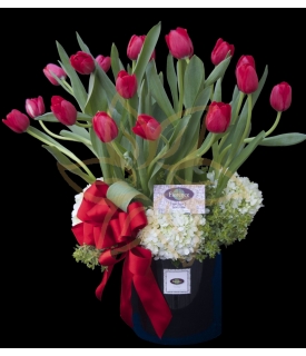 Tulipanes You Are So Beautiful