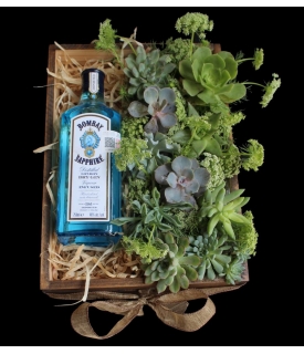 Succulent Garden & Gin