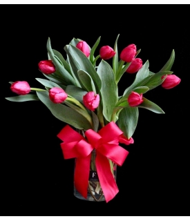 Tulipanes, el Amor perfecto...