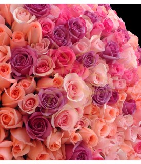 200 Roses Bouquet